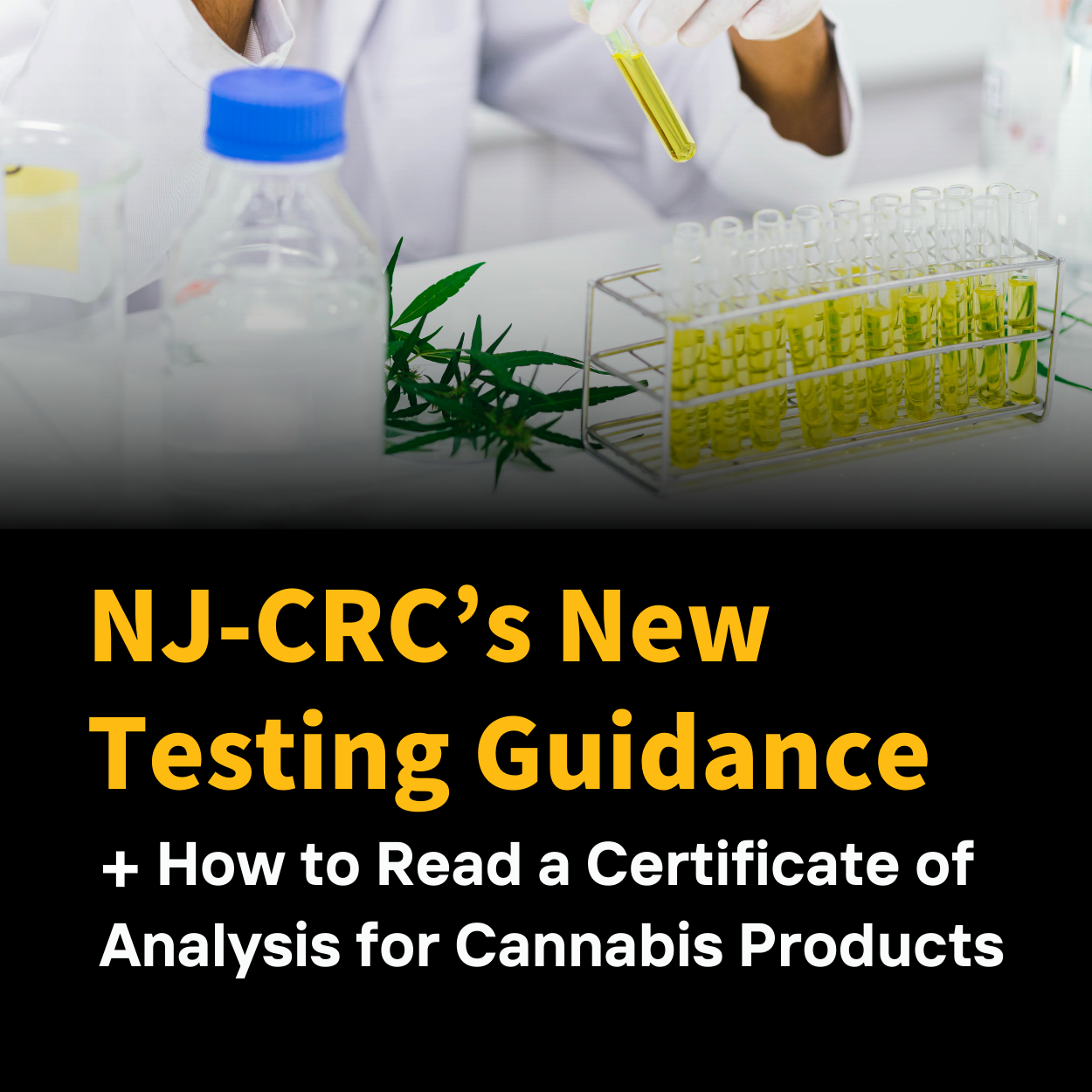 Cannabis Testing Guidelines and How to Read a Certificate of Analysis
